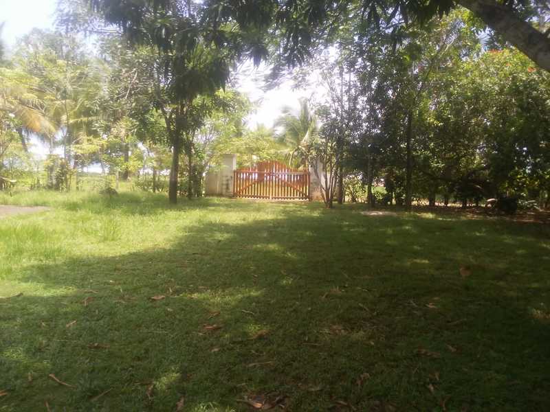 Land For Sale in Punta Islita Pacific Costa Rica